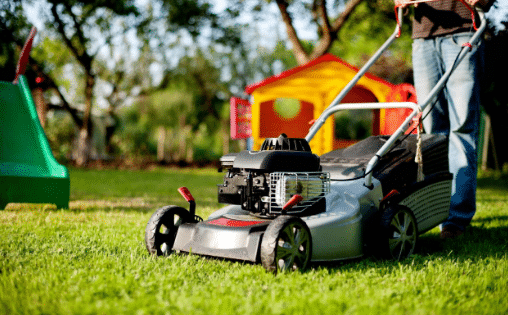 Choosing the Best Lawn Service Provider