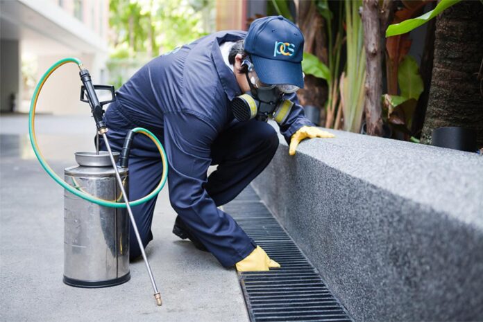 newport news pest control
