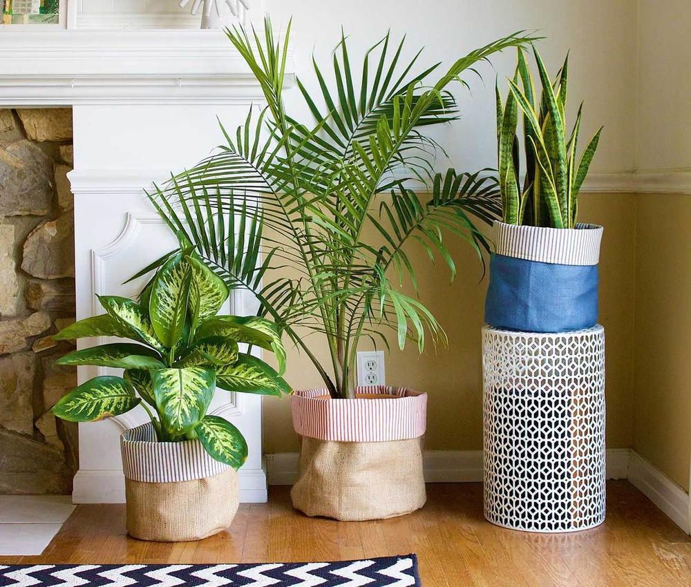 Planters To Make Your Home Feel Lively