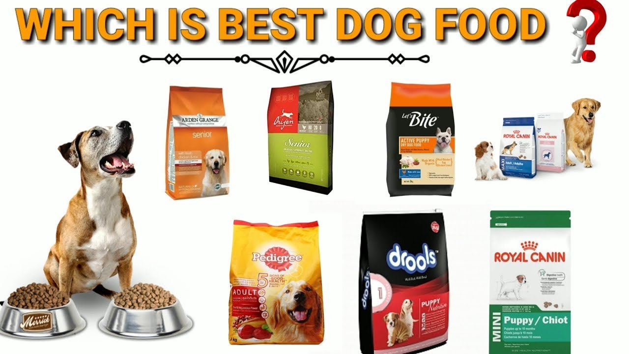 Best dog food brands in india 2021