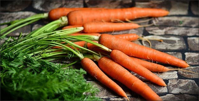 Why Are Carrots One Of The Healthiest Vegetables?
