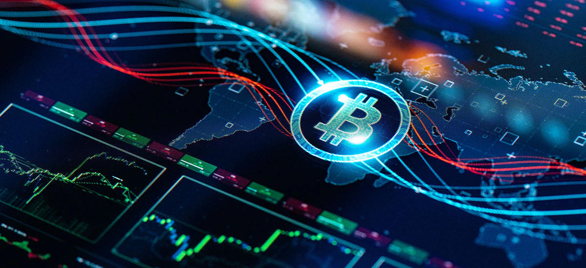 Understanding of the Risk Exposure of the Cryptocurrency Portfolios with the Use of Crypto Portfolio Management and Tax Software