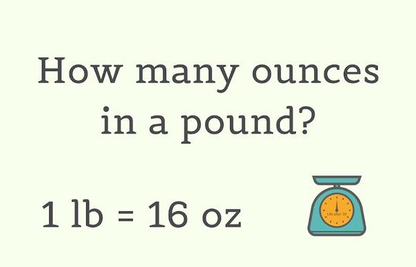 How Many Ounces in a Pound