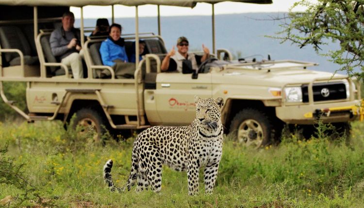 African Safari Tours