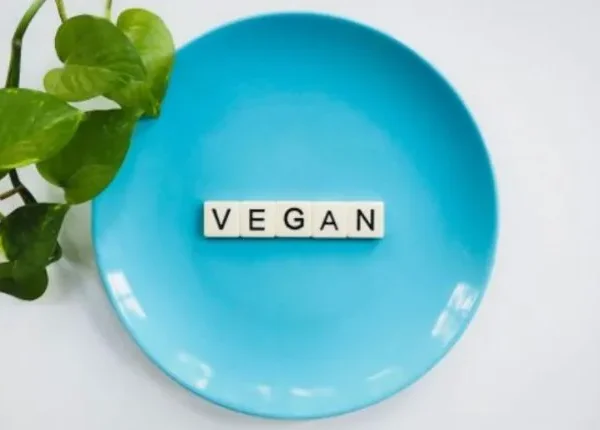 The Best Gifts Ideas For Vegans