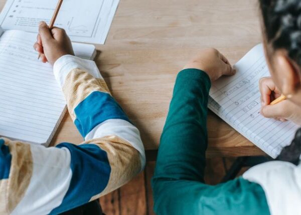 Secrets to Success: Winning Strategies for the PSLE