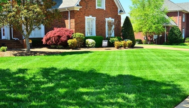 Unveiling the Secrets to a Lush and Vibrant Lawn: Mastering the Art of Lawn Care