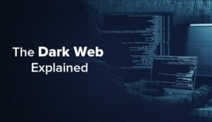 Unveiling the Link: The Relationship between the Deep Web and Hidden Wiki